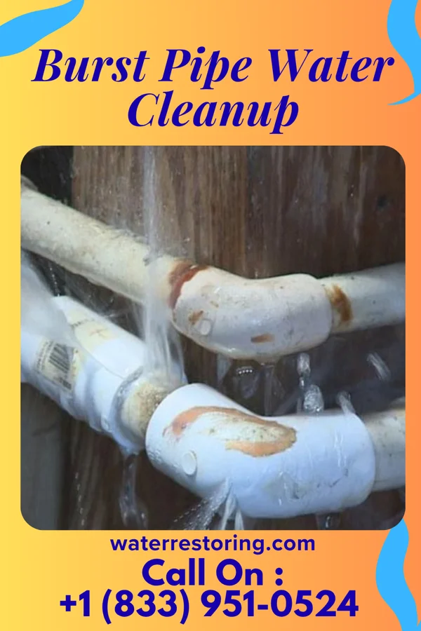Burst Pipe Water Cleanup in Cassandra, PA
