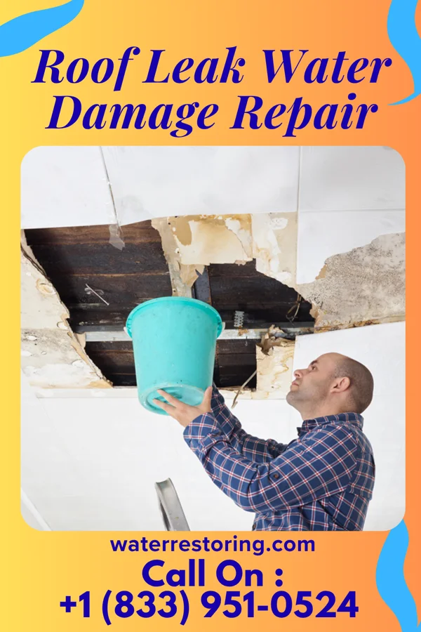 Roof Leak Water Damage Repair in Cassandra, PA