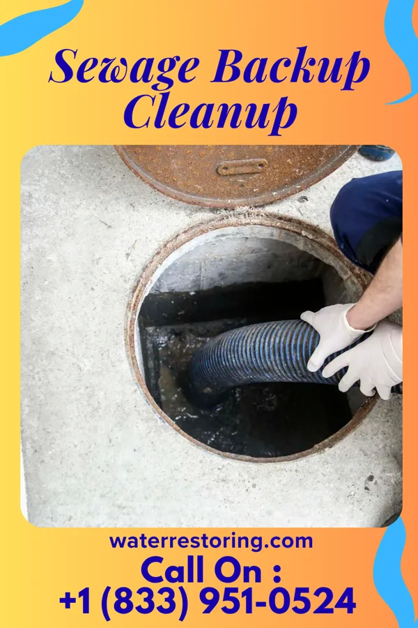 Sewage Backup Cleanup in Cassandra, PA