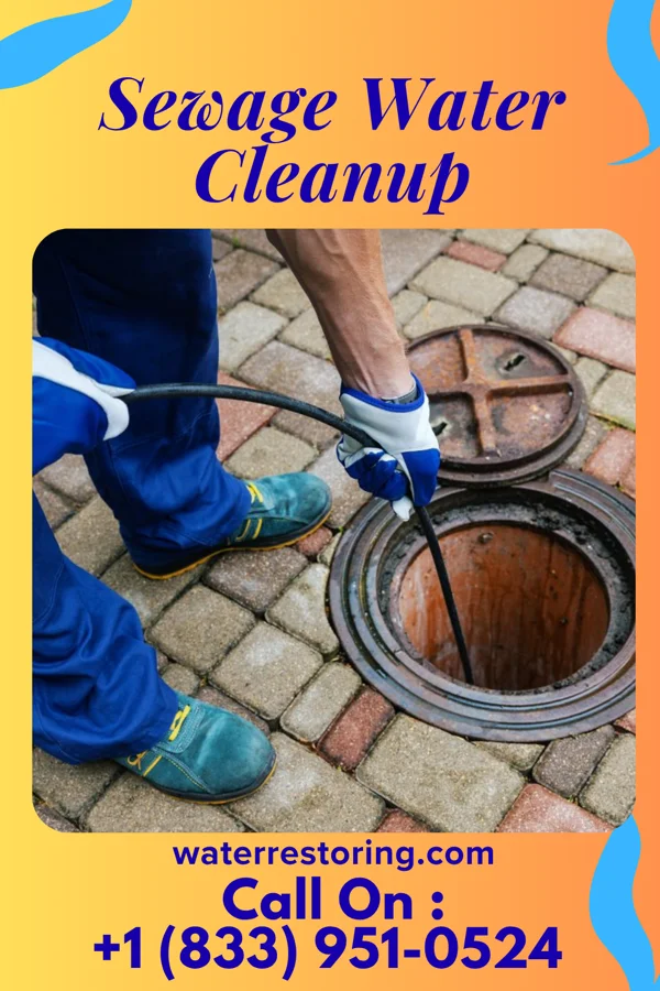 Sewage Water Cleanup in Cassandra, PA